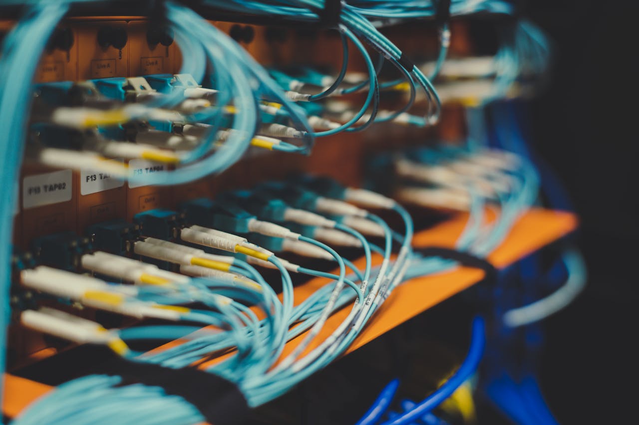 Services Closeup of many cables with blue wires plugged in modern switch with similar adapters on blurred background in modern studio